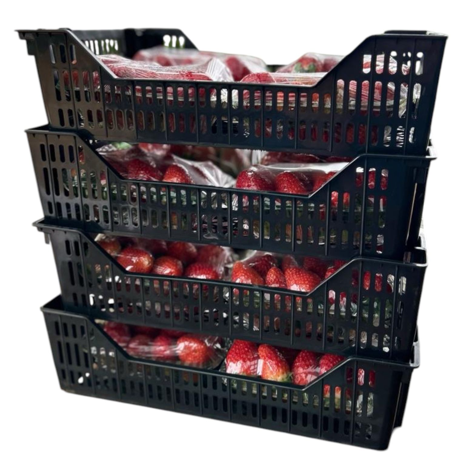 Molde Caixa de Morango